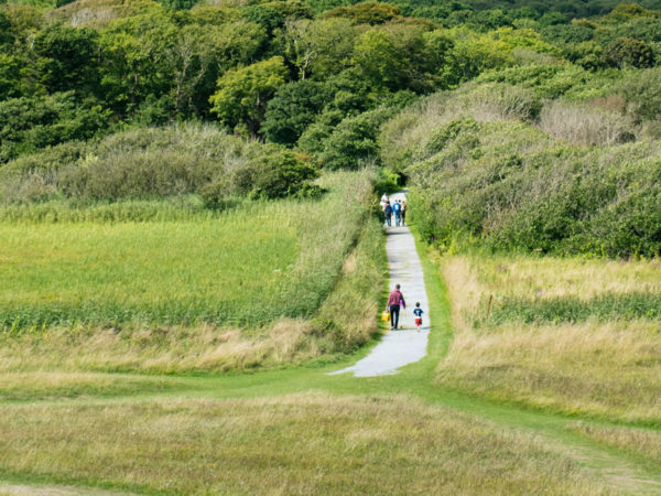 People walking on a paved trail through lush green meadows with trees in the background