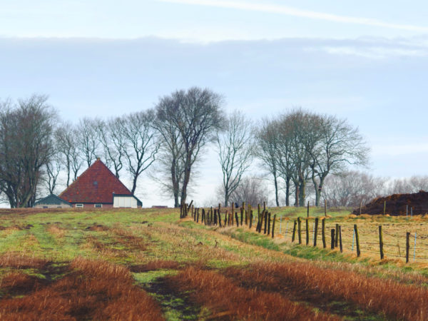 Gårdshus och fält, Hollands Kroon, Nederländerna