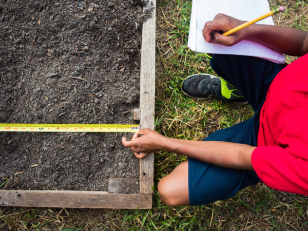 Young diverse student measuring a garden