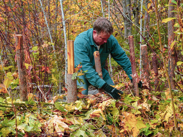 A man working on a beaver dam relocation