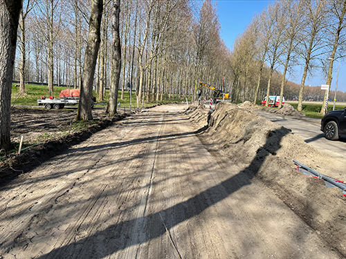 一條即將成為自行車道的自行車道被挖穿樹木