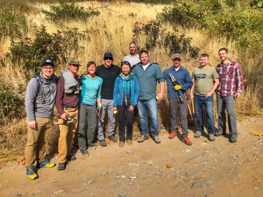 Microsoft team working on beaver dams