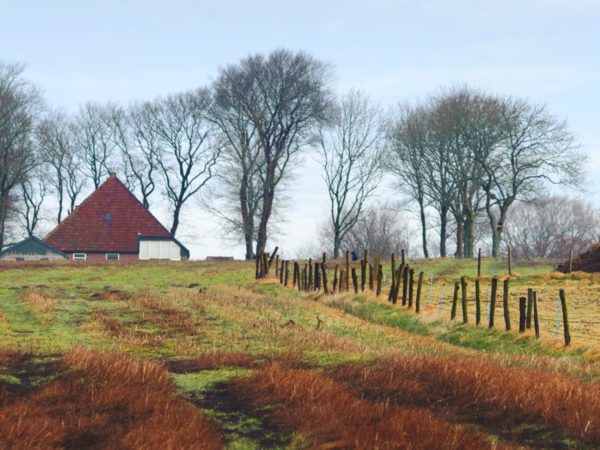En bondgård på landsbygden i Hollands Kroon