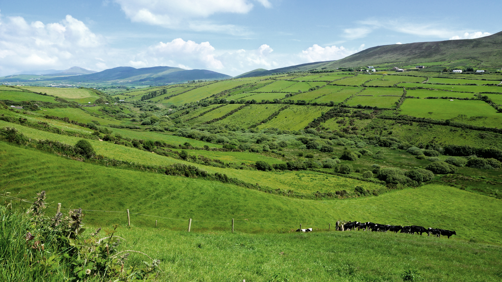 Rolling hills in County Kerry, Ireland