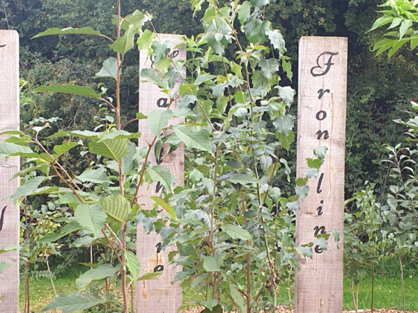 Træskilte med budskaber i en have