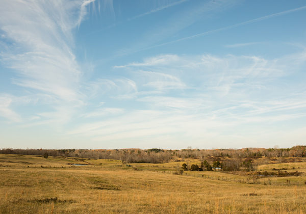 Una pianura arida e secca con alberi in lontananza, sotto un cielo blu.