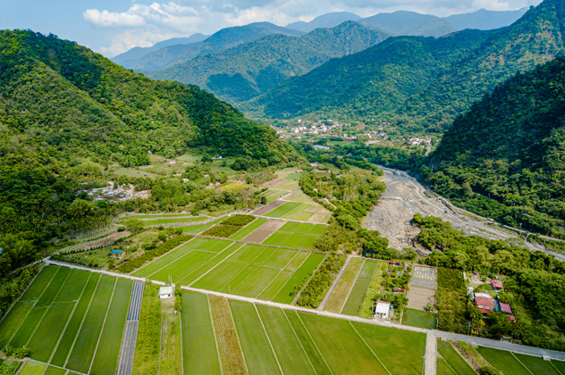 View over rice fields in Taiwan