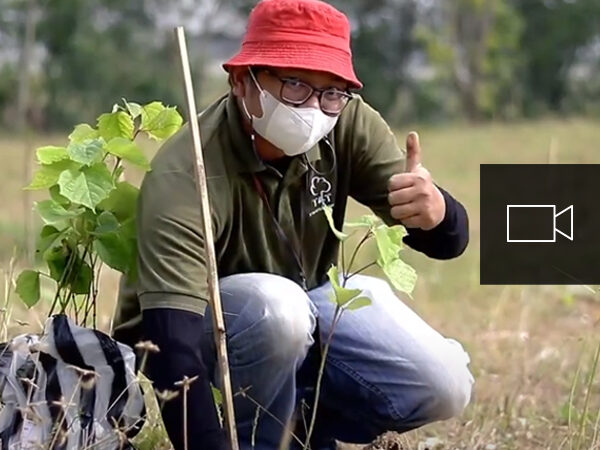 Giovane uomo in Indonesia che pianta alberi