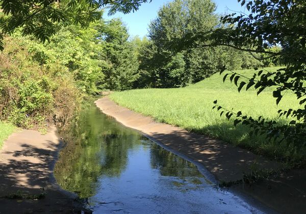 Ein kleiner Bach oder Fluss zwischen Bäumen an einem sonnigen Tag