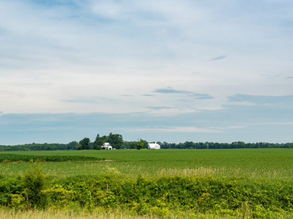 Αγροτικό web banner των γεωργικών εκμεταλλεύσεων στις μεσοδυτικές πολιτείες