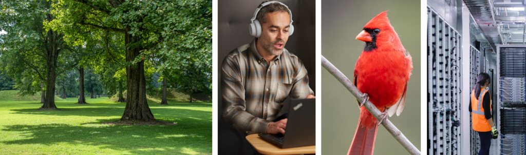 Collage including images of people working on computers and in a datacenter, the Indigenous Burial Mounds, and a red cardinal