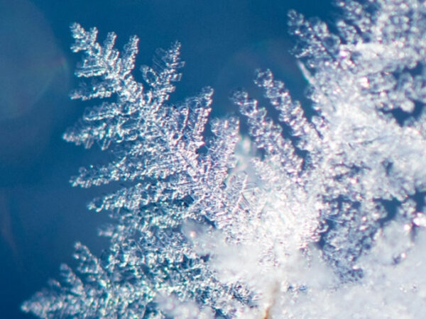 A snowflake with blue sky in the background