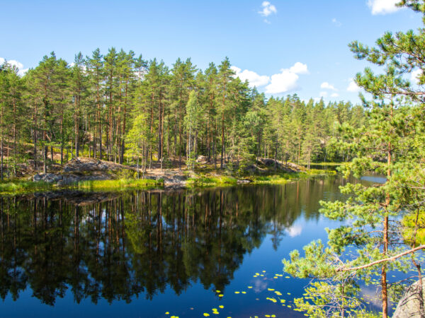 View of The Lake Vähä-Holma, Nuuksio national park, Vihti, Finland