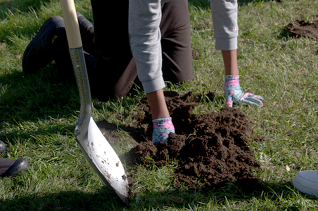 A person kneeling on the ground, with gloved hands in the dirt and a shovel nearby