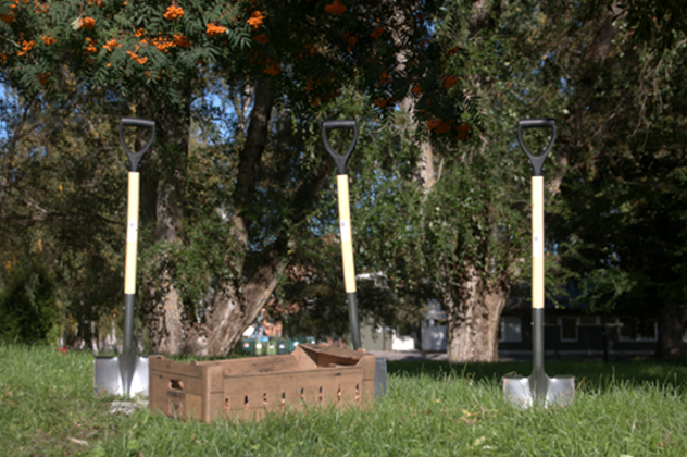 Shovels and yardwork supplies in the grass on a sunny day with trees in the distance