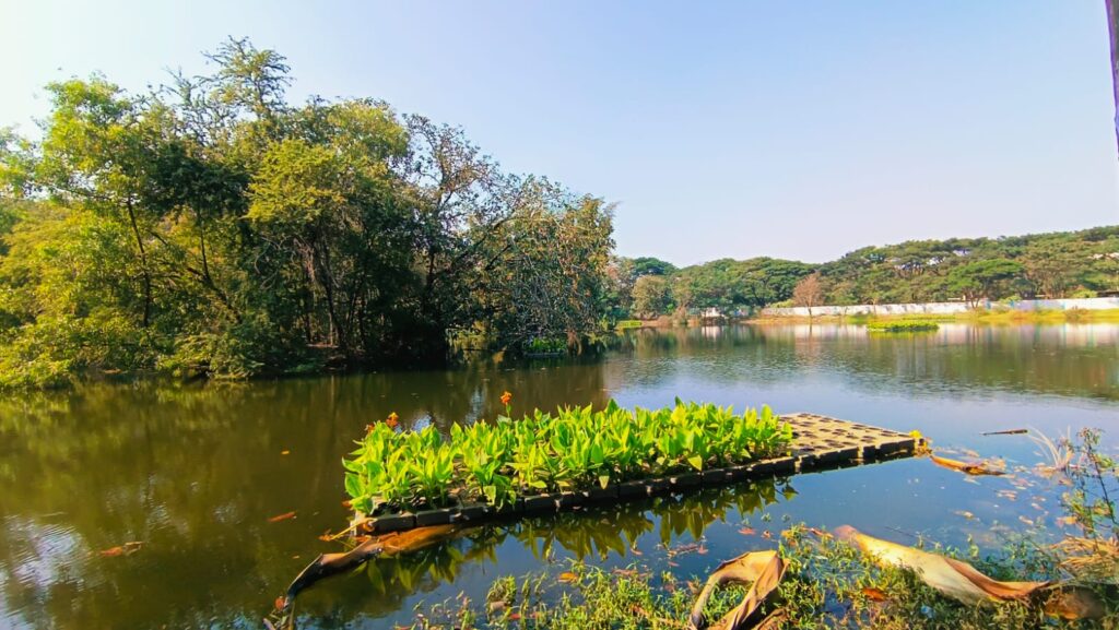 A waterway in India