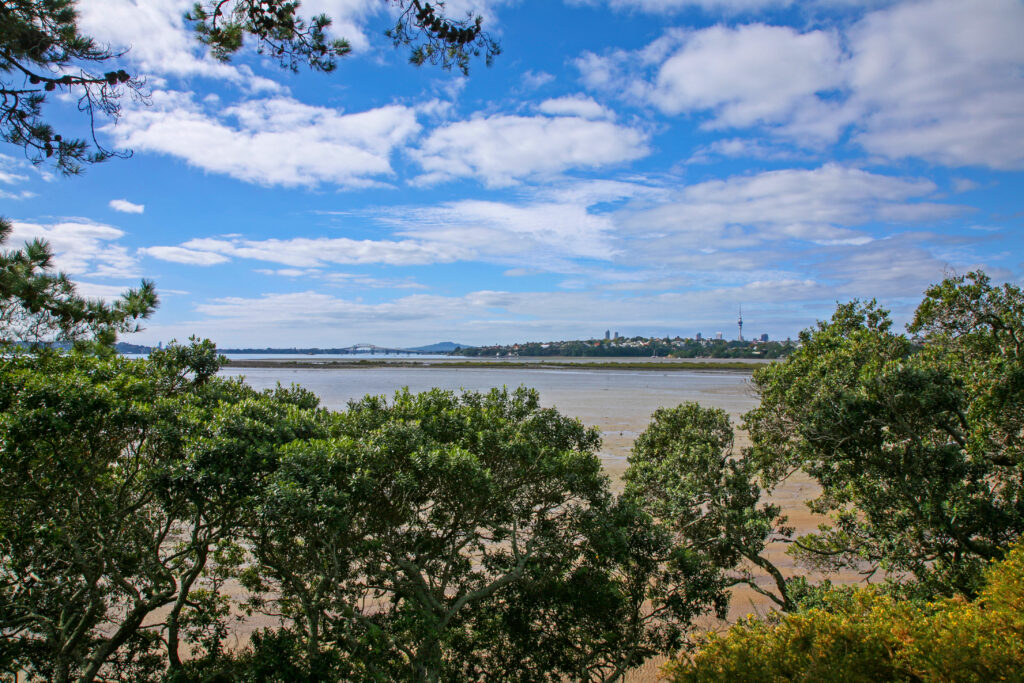 Auckland`s Waitemata Harbour, city and harbour bridge, as seen from the suburb of Point Chev