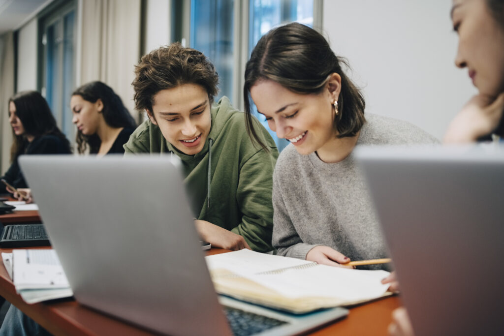 Smiling teenage students working on computers