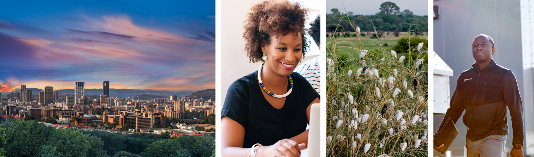 A collage of South Africa images including an aerial view of Tschwane, people using computers, a man working in a datacentre, and white and black birds on a tree